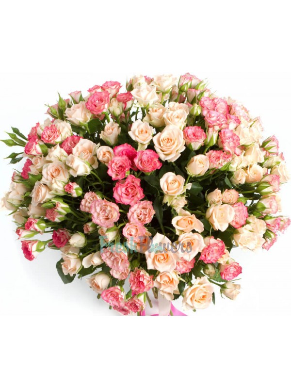 Мікс 35 кущових троянд